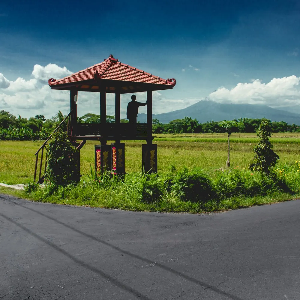 A quiet road beside rice fields in the Bali countryside