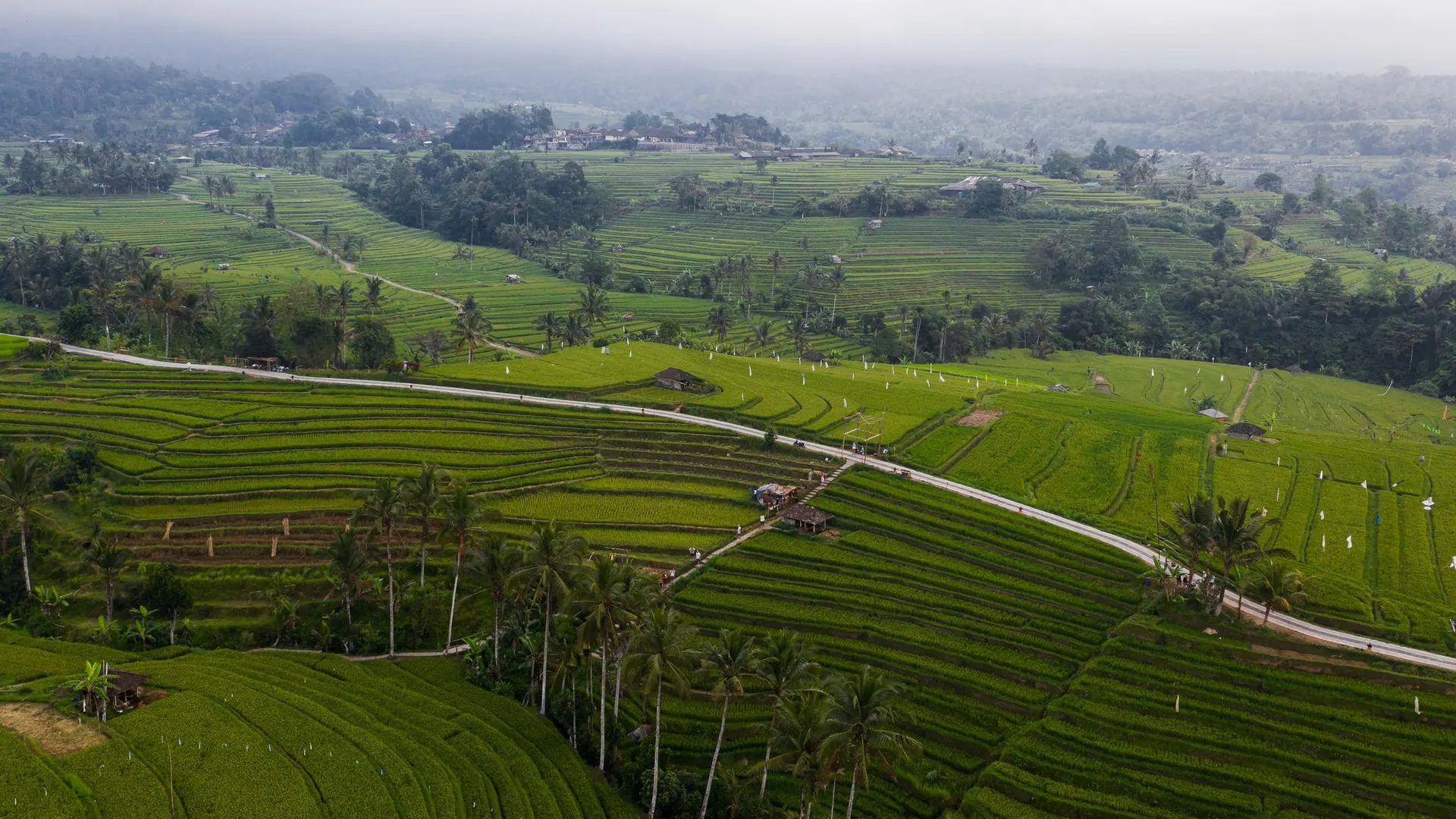 Rice terraces and a village road in Jatiluwih, Tabanan